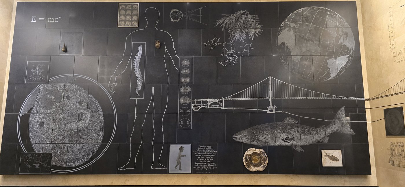 A wall installation depicting scientific themes — E=mc², DNA, evolution and ecology